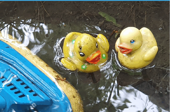 Spectacle « Quand Viendra la vague »